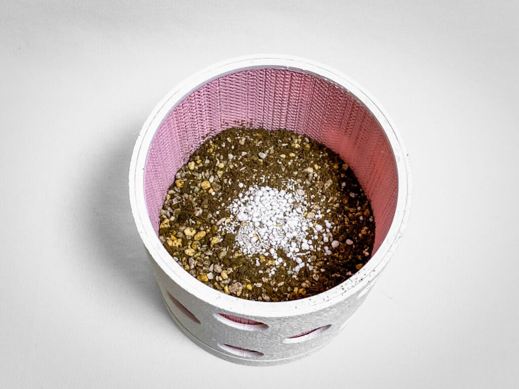 殺虫剤と緩効性肥料を撒く