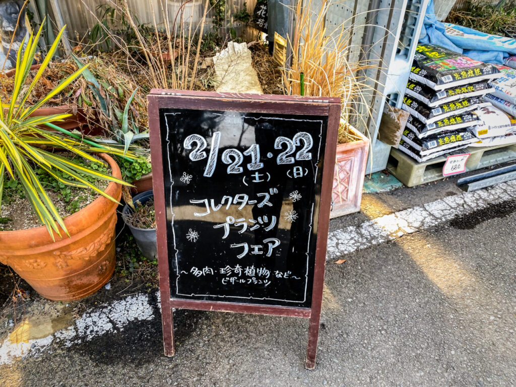 コレクターズプラントフェア