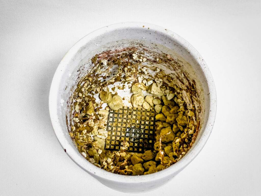 ハオルチオプシス・十二の巻