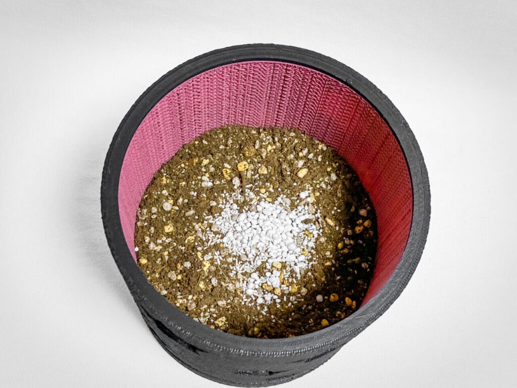 殺虫剤と緩効性肥料を撒く