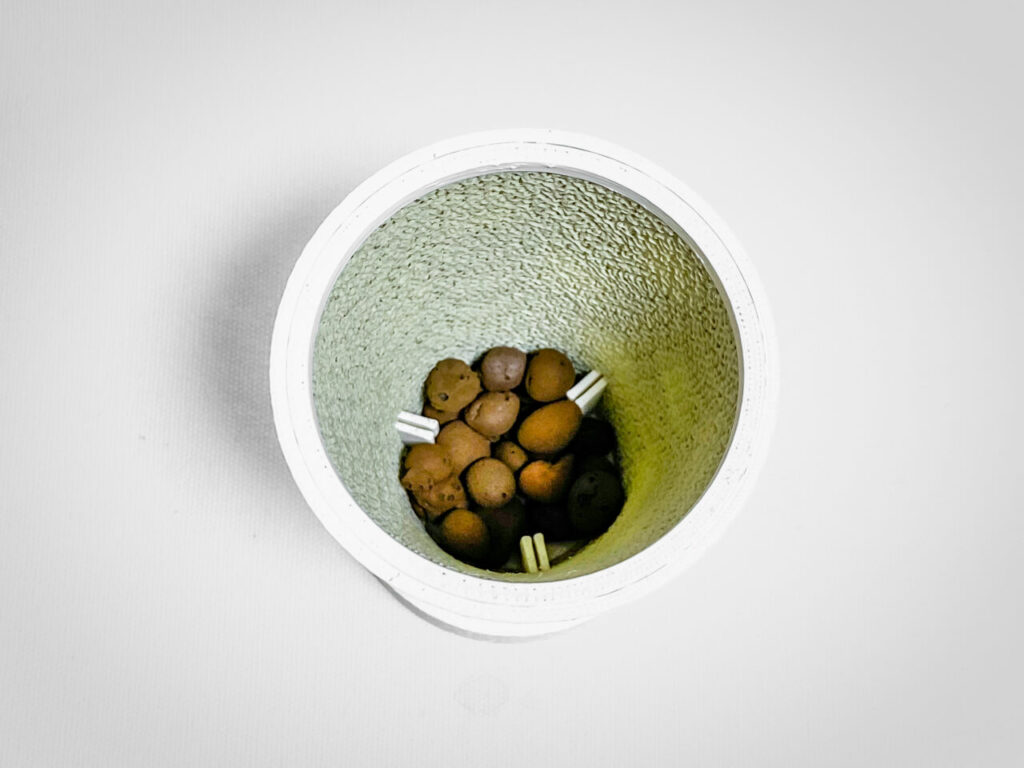 鉢底石(ハイドロボール中粒)を敷く