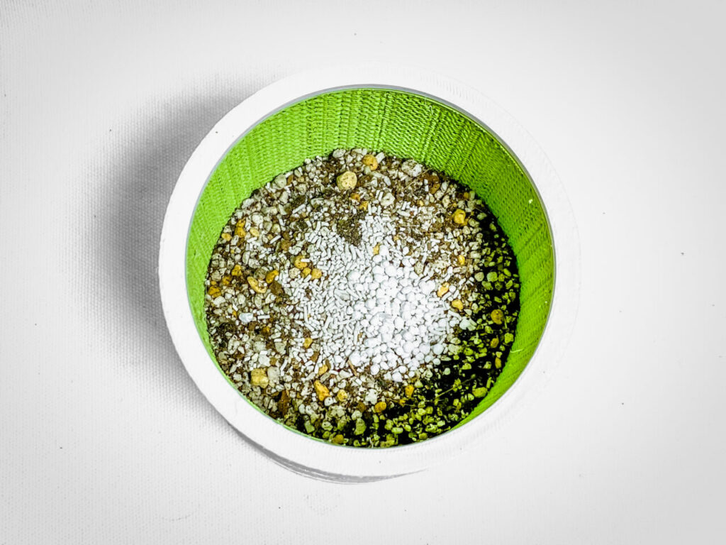 殺虫剤と緩効性肥料を撒く