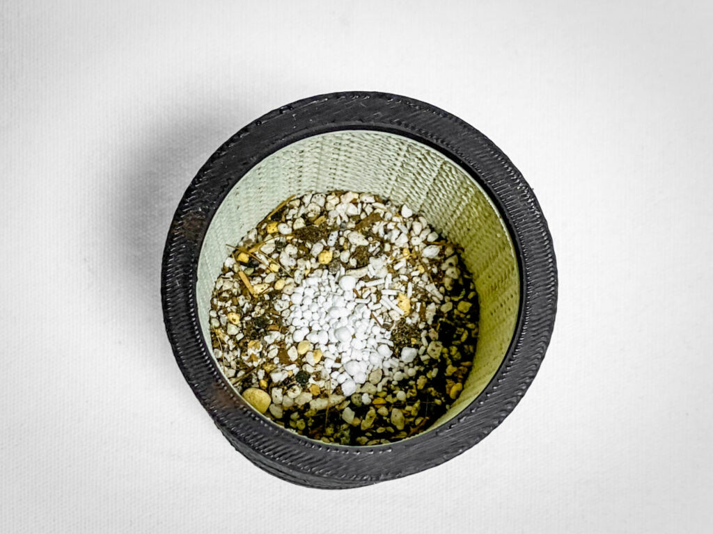 殺虫剤と緩効性肥料を撒く