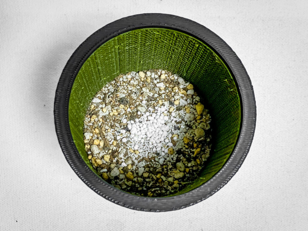 殺虫剤と緩効性肥料を撒く