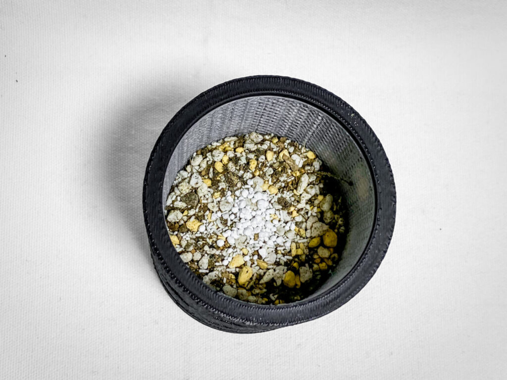 殺虫剤と緩効性肥料を撒く