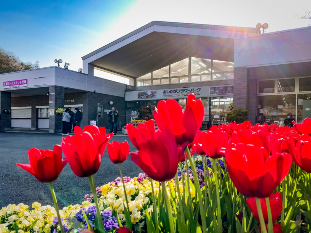 あしかがフラワーパーク