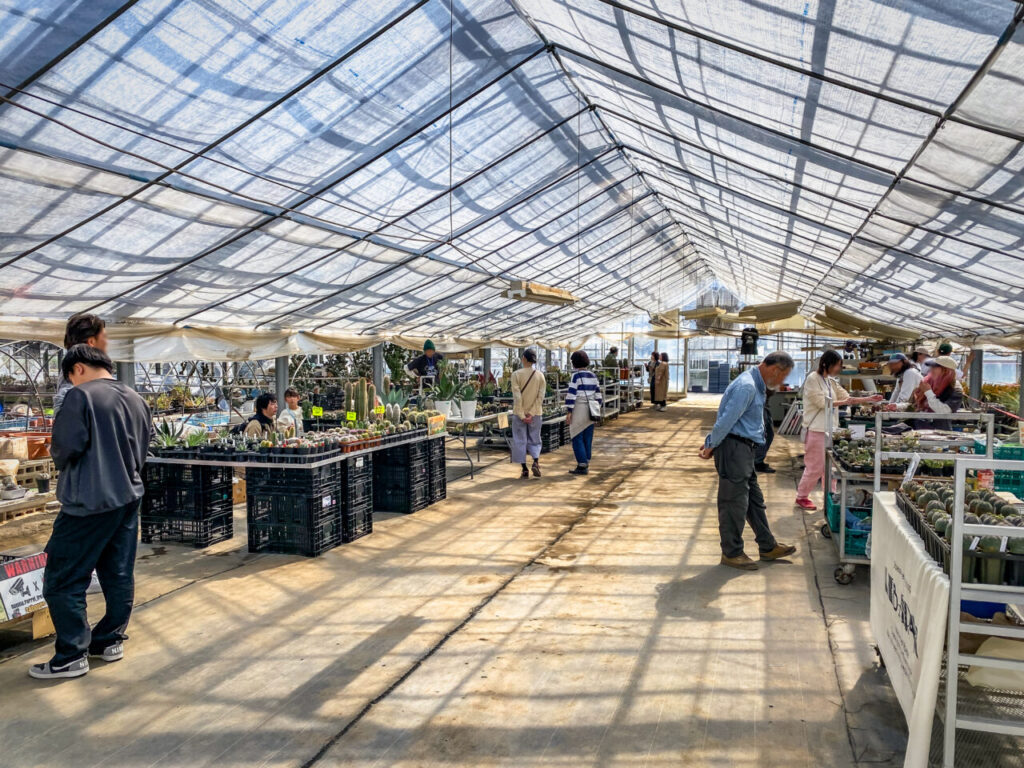 サボテン団地24時間耐久一般公開Special