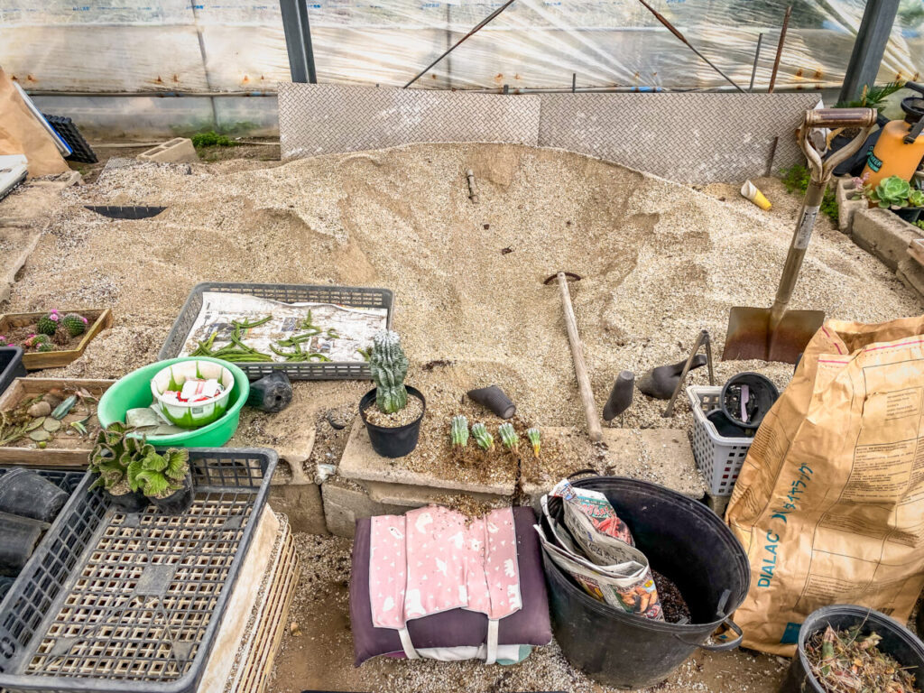 サボテン団地24時間耐久一般公開Special