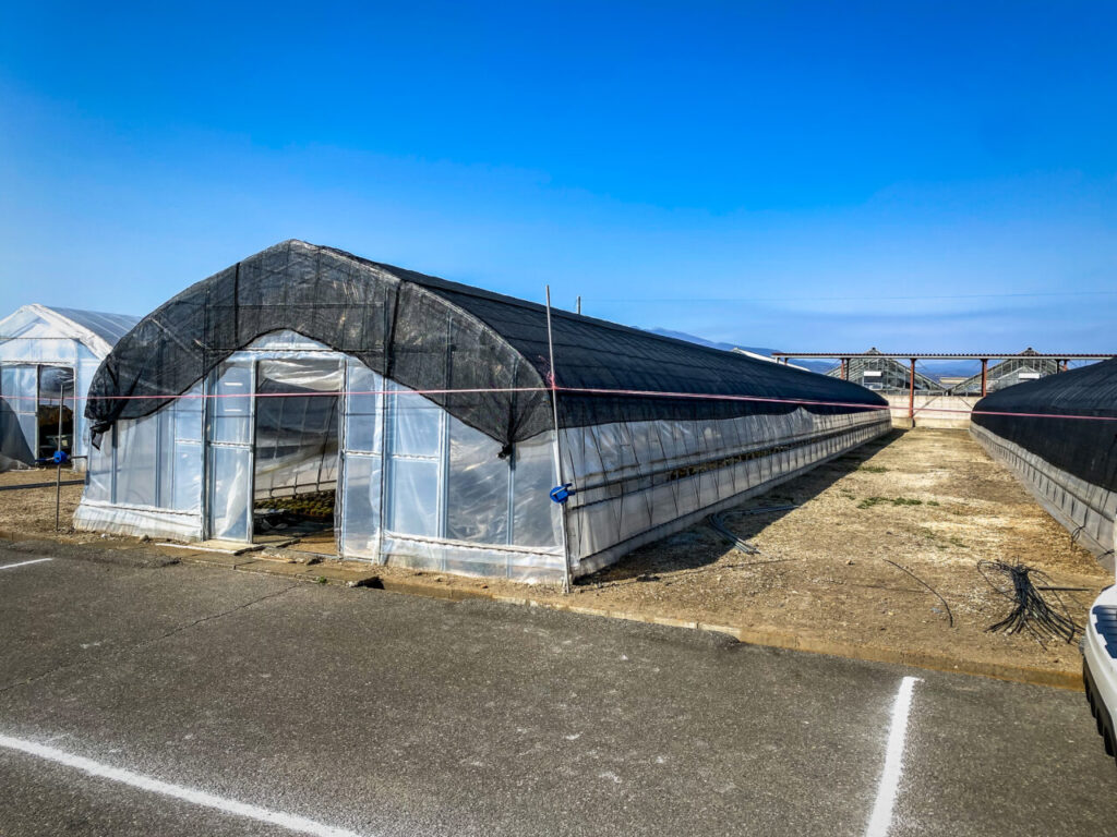 サボテン団地24時間耐久一般公開Special