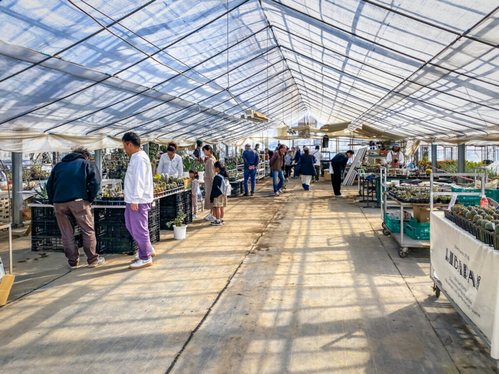 サボテン団地24時間耐久一般公開Special