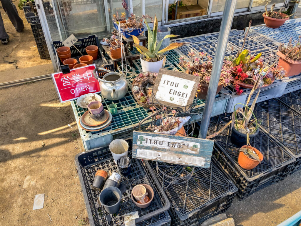 サボテン団地24時間耐久一般公開Special