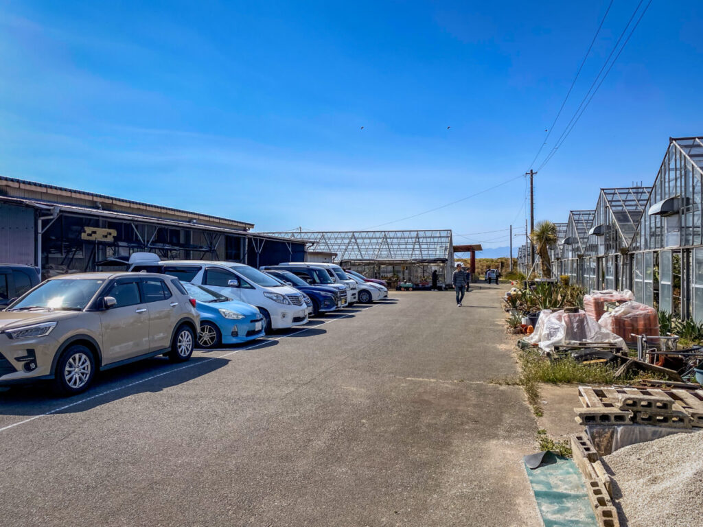 サボテン団地24時間耐久一般公開Special