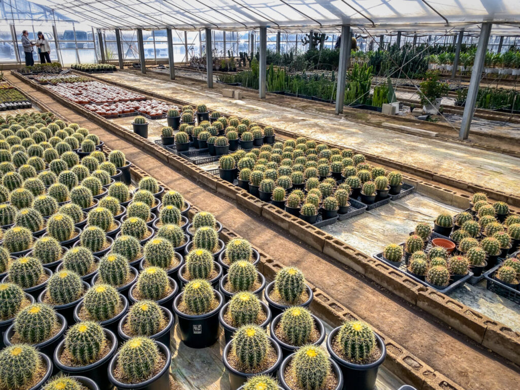 サボテン団地24時間耐久一般公開Special