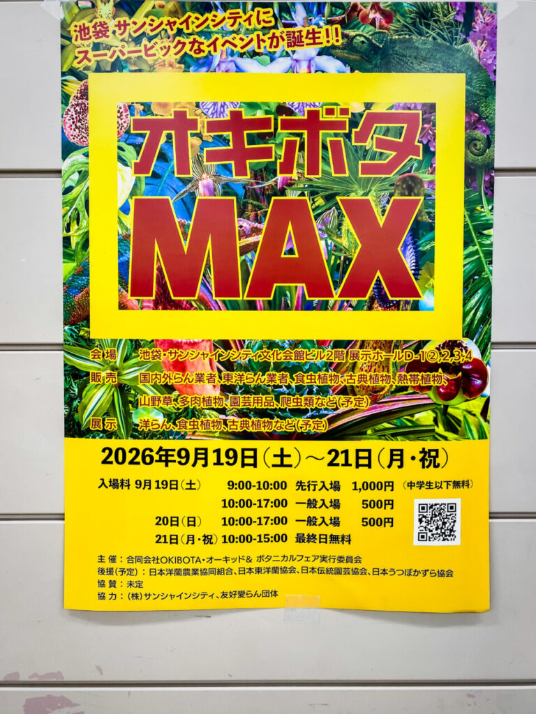 オキボタスプリング