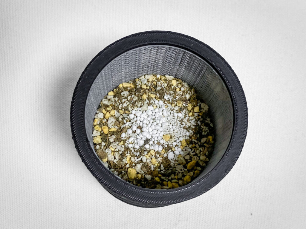 殺虫剤と緩効性肥料を撒く